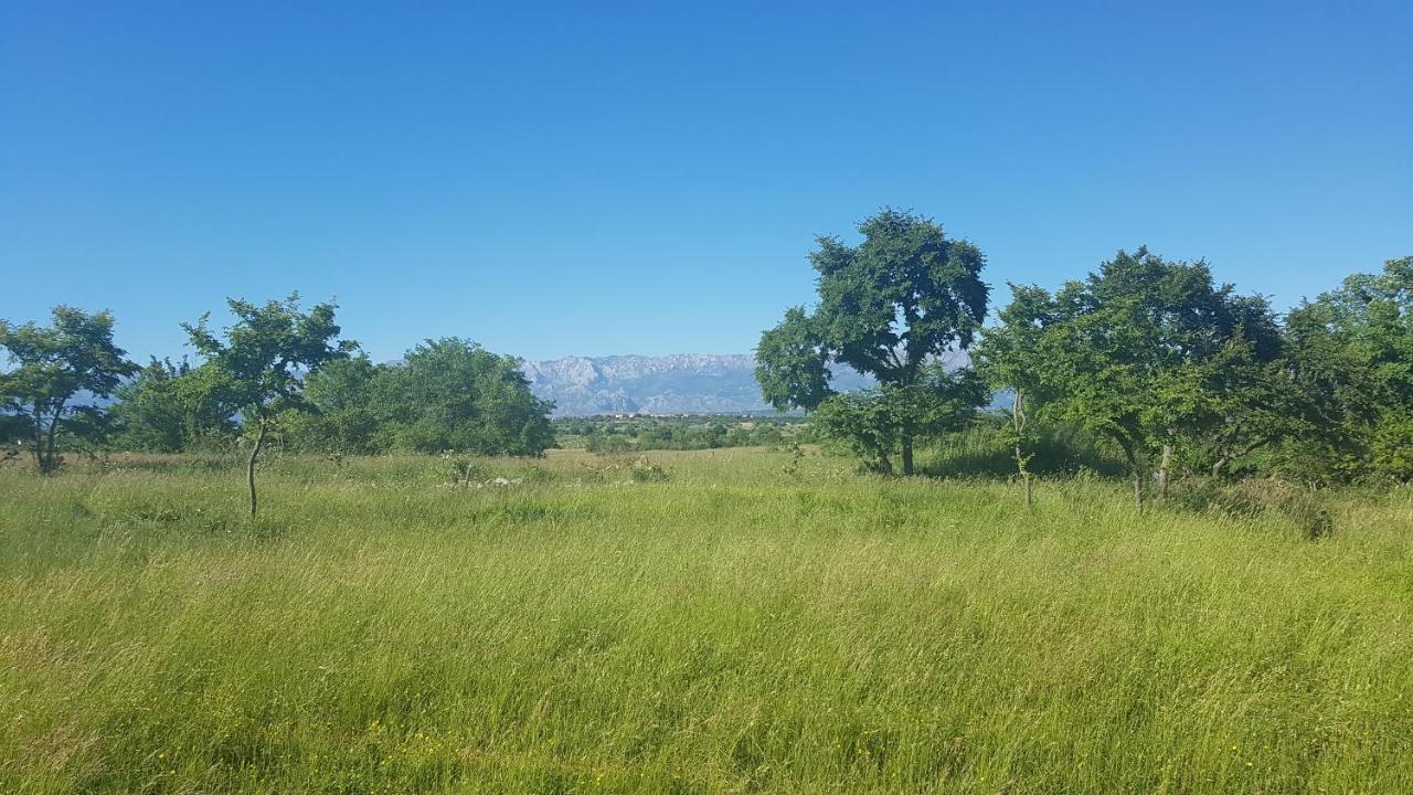 Savrsen Odmor U Villa Ivona Zadar Eksteriør bilde
